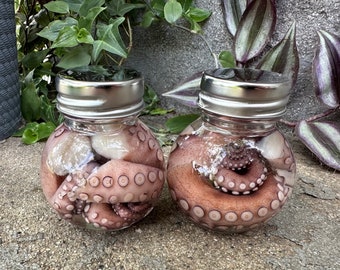 Wet Specimen Octopus Tentacles in Glass Jar