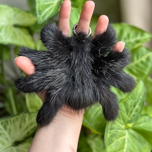 May include: A black, fluffy spider-shaped keychain with a silver keyring. The keychain has eight legs and a soft, textured appearance. The background features green foliage.