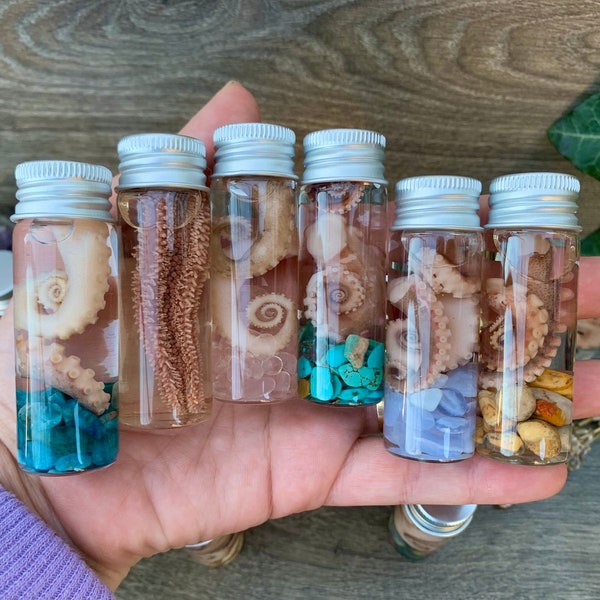 Glass Jar Wet Specimen Octopus Tentacles with or with out crystals lapis tiger eye fluorite amethyst labradorite starfish citrine turquoi