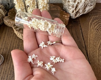May include: A clear glass vial filled with small, off-white bone fragments, some scattered in a person's hand. The vial is held at an angle, with additional bone pieces visible in the background. The background includes wood and other natural elements.