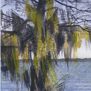 Cypress Tree, giclée print of watercolor, New Orleans
