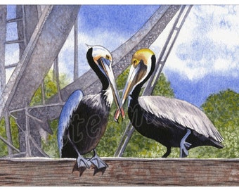 Pelican Couple, framed giclée print of watercolor painting
