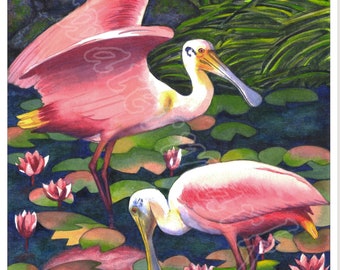 Roseate Spoonbills, LARGE matted giclée print of watercolor, Louisiana