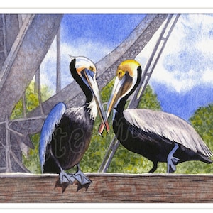 Pelican Couple, Print: Matted Watercolor Giclée, Louisiana