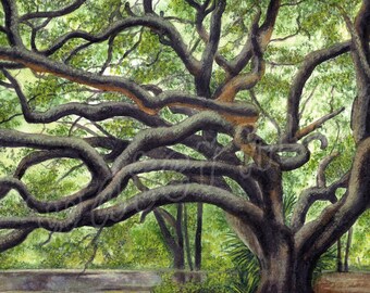 McDonough Oak Tree, LARGE matted giclée print of watercolor, New Orleans