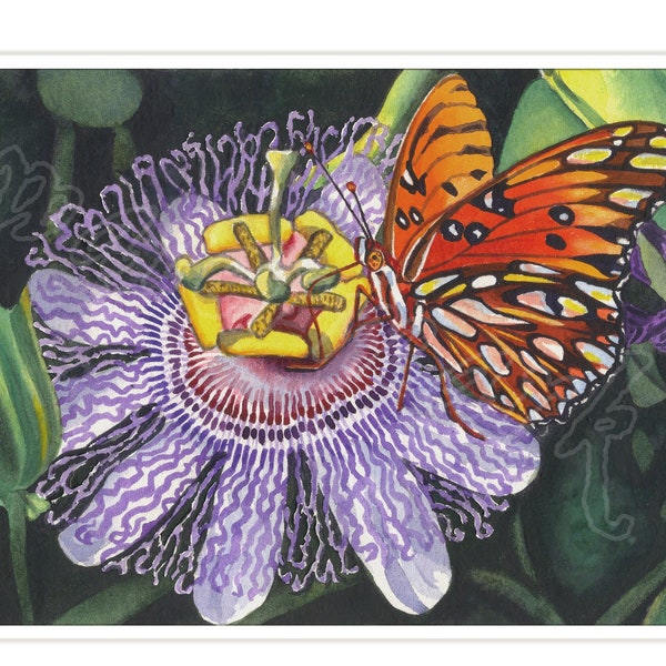 Fritillary Passion, butterfly, giclée print of watercolor