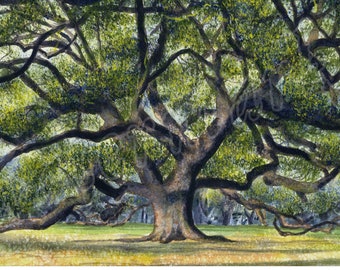 Oak Tree, LARGE matted giclée print of watercolor, New Orleans