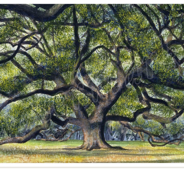 Oak Tree, LARGE matted giclée print of watercolor, New Orleans