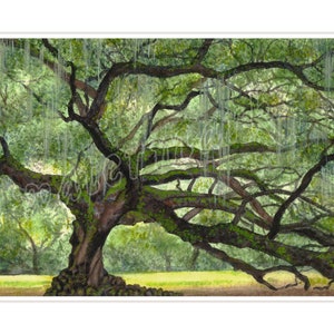 Tree of Life, matted giclée print of watercolor, New Orleans