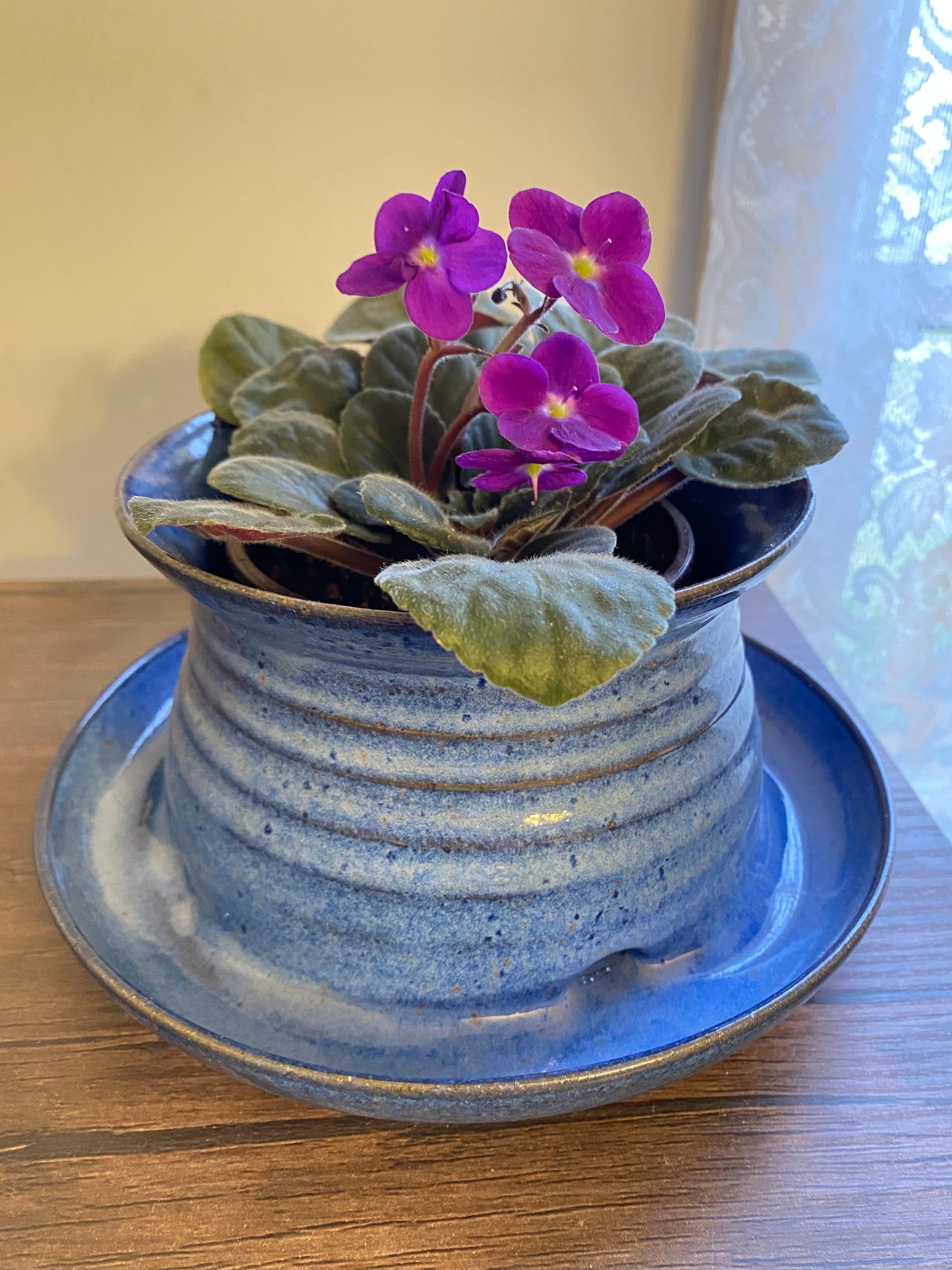 African Violet Pots Color Options Made to Order Ceramic African
