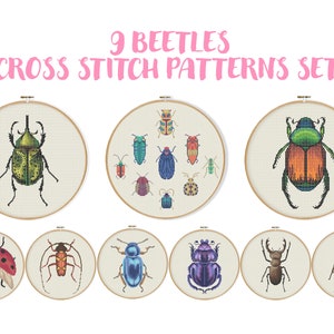 9 kever set kruissteekpatroon, insect insect borduurwerk, natuurbiologie Xstitch grafiek realistische dierenmuur kunst kleurrijk gemakkelijk wetenschap geeky