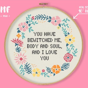 Vous m'avez ensorcelé, motif de point de croix corps et âme, broderie de citation de livre de Jane Austen, Mr Darcy Xstitch fierté et préjugés romantique