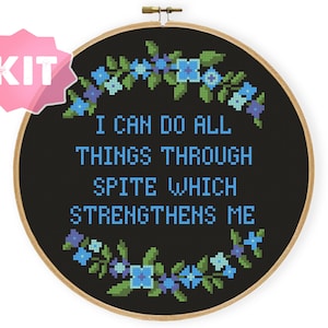 I Can Do All Things Through Spite Which Strengthens Me Cross Stitch Kit, Funny Snarky Subversive Embroidery, Philippines 4:13 Needlework