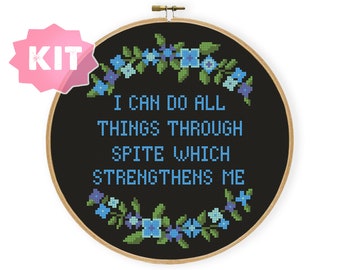 I Can Do All Things Through Spite Which Strengthens Me Cross Stitch Kit, Funny Snarky Subversive Embroidery, Philippines 4:13 Needlework