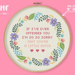 Könnte beinhalten: Kreuzstich-Stickerei in einem Holzrahmen mit dem Text "IF I'VE EVER OFFENDED YOU I'M SO SO SORRY THAT YOU'RE A LITTLE BITCH". Das Design umfasst einen Blumenkranz mit blauen, lila und rosa Akzenten. Der Rahmen hat einen Durchmesser von 25.4 cm.