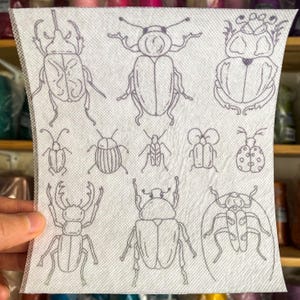 Op de afbeelding: Een wit vel papier met zwarte lijntekeningen van verschillende soorten kevers. De kevers zijn getekend in een eenvoudige, cartoonachtige stijl.