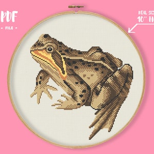 Frog 2 Cross Stitch Pattern, Realistic Brown Frog Embroidery, Animal Needlepoint, Amphibia Xstitch Chart Modern Counted Cross Stitch Decor