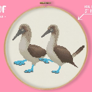 Booby Dance Cross Stitch Pattern, Cute Blue Feet Birds Embroidery, Exotic Bird xstitch, Galapagos Island Decor, Kawaii Animals Xstitch
