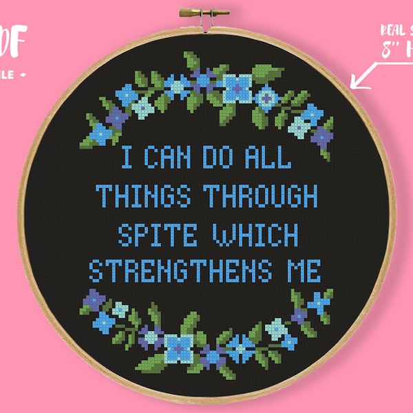 I Can Do All Things Through Spite Which Strengthens Me Cross Stitch Pattern, Funny Snarky Subversive Embroidery, Philippines 4:13 Needlework