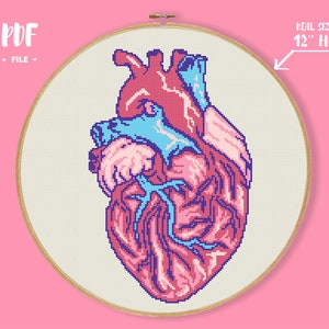 Anatomy Cross Stitch, Anatomical Heart Pattern, Cross Stitch Patterns, Needlepoint Kits, Counted Cross Stitch, Instant Download PDF