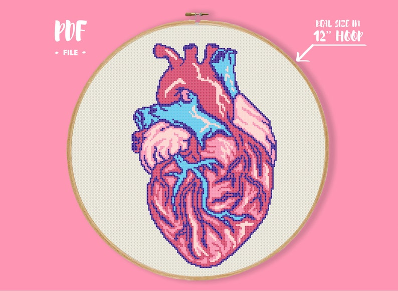 Anatomy Cross Stitch Anatomical Heart Pattern Cross Stitch Etsy