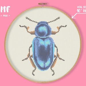 Beetle 5 Cross Stitch Pattern, Insect Embroidery, Bug Needlework, Realistic Natural Xstitch, Entomology Simple Modern Cross Stitch Design