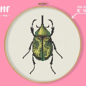 Beetle 3 Cross Stitch Pattern, Insect Embroidery, Bug Needlework, Realistic Natural Xstitch, Entomology Simple Modern Cross Stitch Design