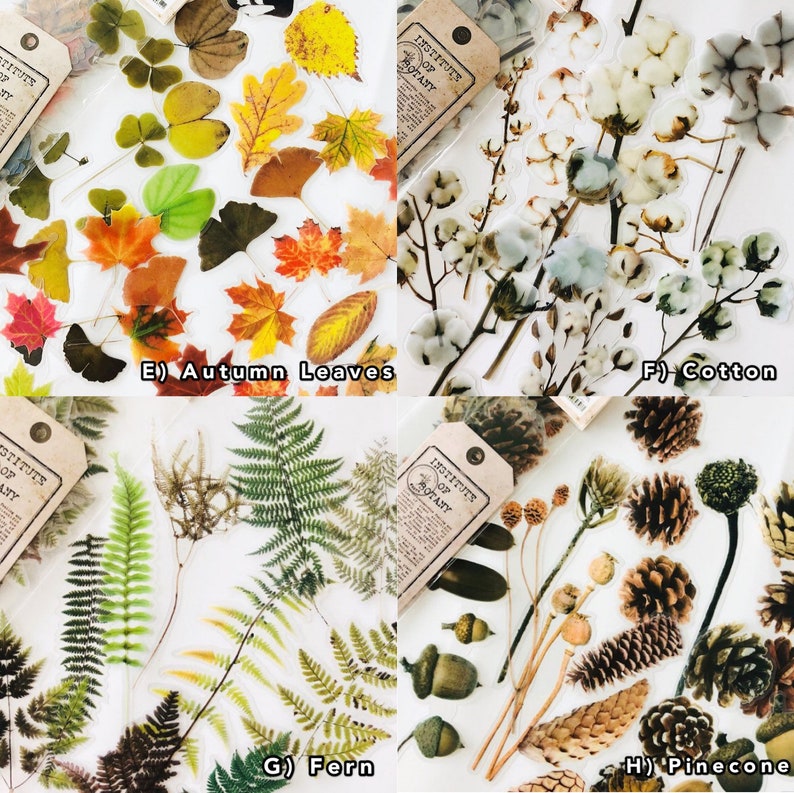 20pcs PET Botanical Stickers,plants Sticker Pack,craft Supplies