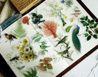 Vintage Flower and Bird Stickers, Ephemera Scrapbooking (56 Pcs)