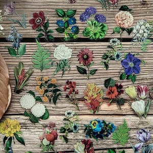 30 autocollants fleurs, autocollant floral pour animaux de compagnie, jardin, forêt, fougères, paquet d'autocollants éphémères, autocollants découpés, décoratif pour journal