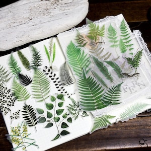 65 Pcs vintage Plant Theme Stickers, vintage Stickers Pack, Junk Journal Kit, Scrapbook, Planner.Flower, Fern