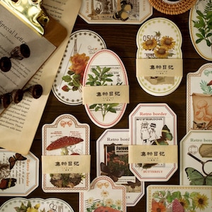 Papier de fond vintage, fleur, champignon, papillon, fougères, ensemble de papiers décoratifs, papier pour mémo, journal indésirable