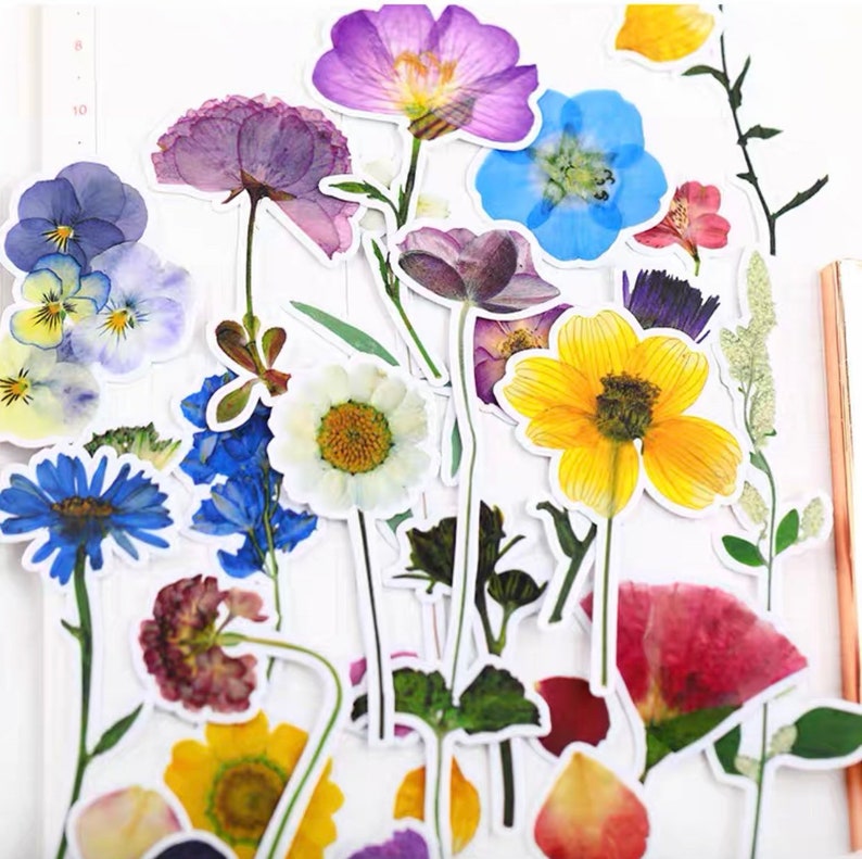 33pcs Pressed Flower Stickerdie Cut Stickerdecorative Etsy