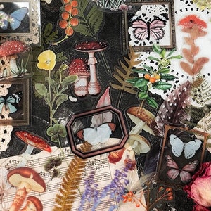 Paquet d’autocollant de 40Pcs, autocollants clairs de PET, série de jardin d’ancien temps, fleur, fougères, papillon, champignon, paquet d’autocollants d’éphéméride, autocollant die-cut