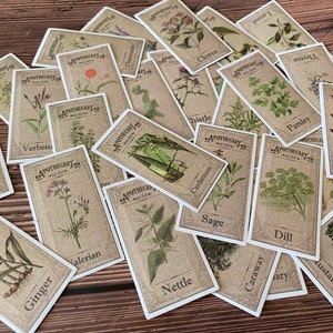 25 autocollants botaniques, autocollants d'apothicaire à base de plantes, éphémères en papier pour journal indésirable, fournitures de loisirs créatifs, éphémères nature, journal vintage