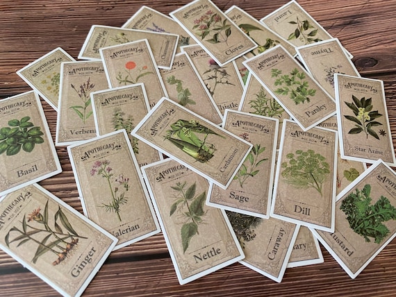 A4 Botanical Stickers for Journals and Planners, Herbal Leaves and