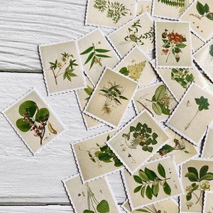 40 pcs autocollant botanique, timbre plante autocollant, autocollants éphémères, autocollant décoratif, Bullet Journal