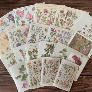 20Pcs Autocollant botanique, Floral, Fleur, Plantes, Fournitures artisanales, Papier Ephemera, Junk Journal
