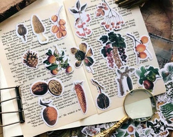 54 Pcs Vintage Botanical Stickers, Ephemera Scrapbook Stickers