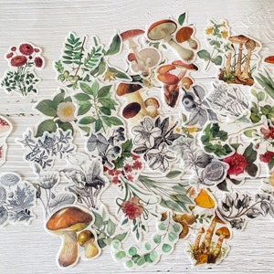 40 autocollants fleurs et champignons, assortiment d'autocollants botaniques translucides, autocollants décoratifs, journal indésirable