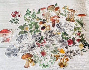 40Pcs Flower and Mushroom Sticker,Assorted Translucent Botanical Sticker Pack,Decoration Sticker,Junk Journal