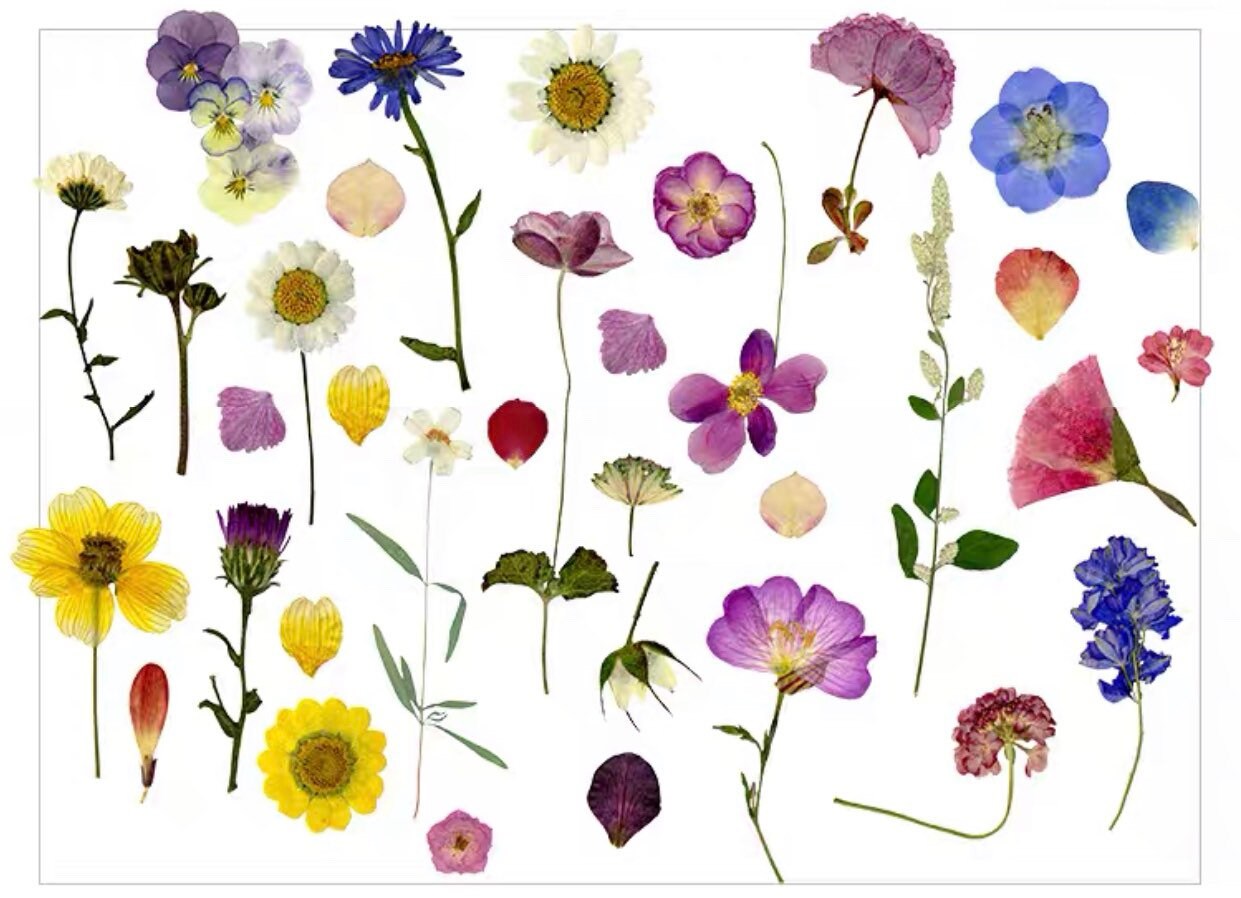 33Pcs Pressed flower StickerDie Cut StickerDecorative Etsy