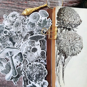 44 autocollants botaniques translucides vintage, autocollants fleurs, autocollants champignons, éphémères, scrapbooking, journal indésirable