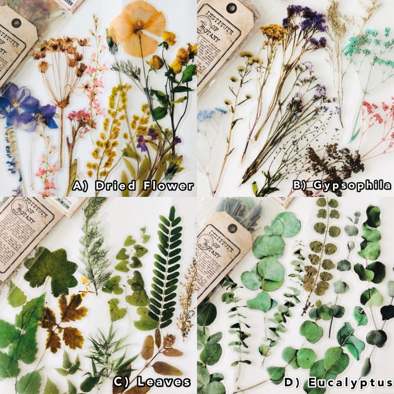 20pcs PET Botanical Stickers,plants Sticker Pack,craft Supplies