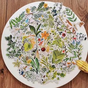 54 autocollants botaniques, paquet d'autocollants de plantes, fleur, fougère, feuille, autocollants éphémères, papier translucide