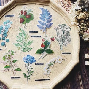 50Pcs Translucent Botanical Stickers Kit B,Junk Journal Paper Ephemera,Craft Supplies,Planner Supplies,Nature Ephemera,vintage Journal