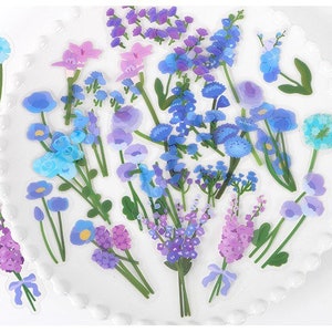 40 autocollants floraux, autocollants découpés pour animaux de compagnie, autocollants transparents imperméables, décoratifs pour journal, scrapbooking, papeterie