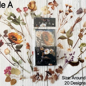 Sticker fleurs, Sticker floral pressé, Fougère, Fleurs séchées, Champignon, Tulipe, Sticker éphémère, Sticker découpé, Sticker décoratif, Fournitures de journal