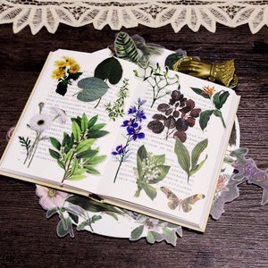 Pack de 50 autocollants vintage fleurs, plantes, kit de journal indésirable, journal éphémère, scrapbooking, agenda