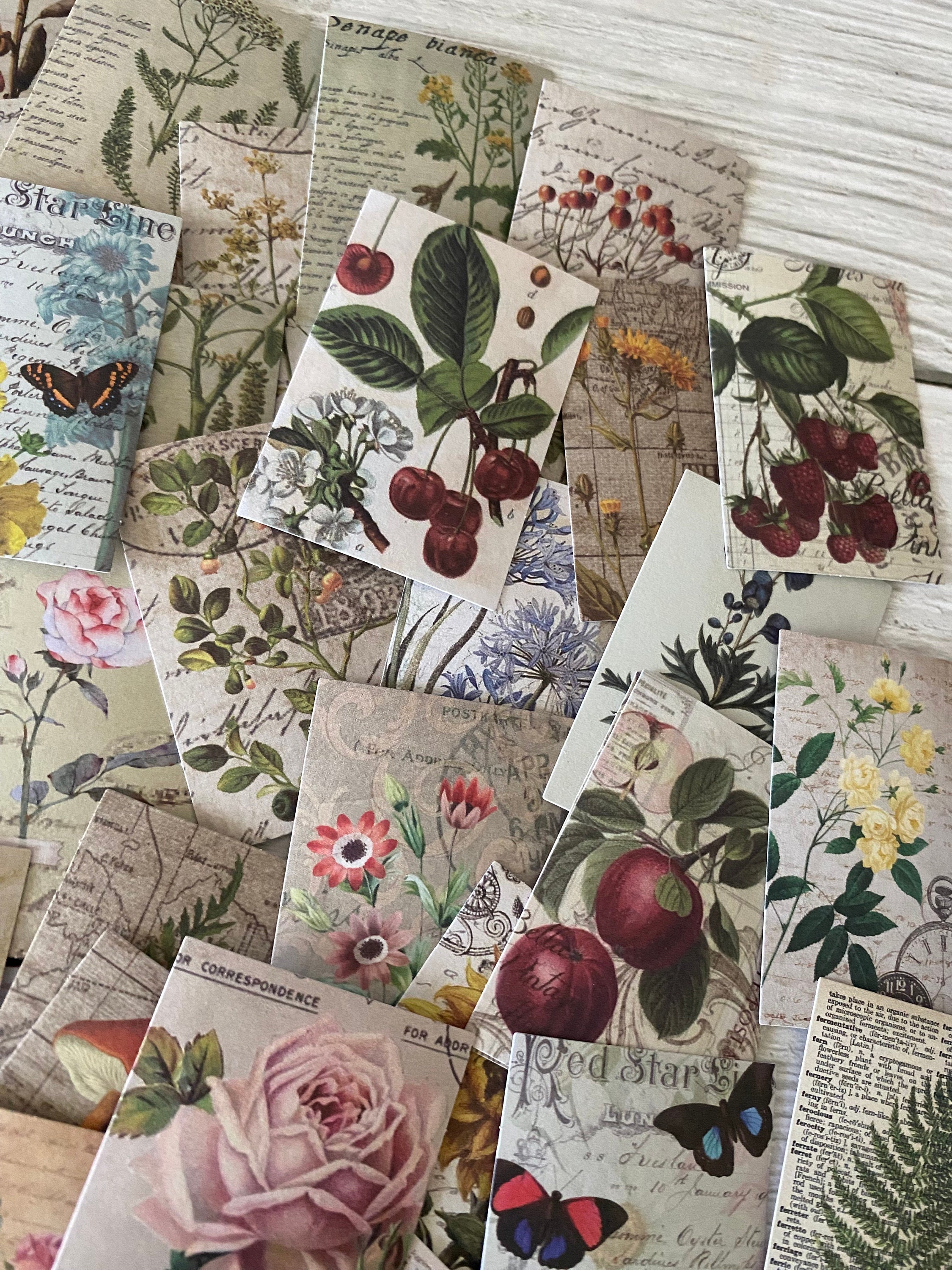 100pcs Botanical Collage Paper Decorative for Journal Ephemera ...